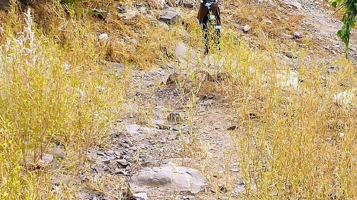 Impressionen von Ultramarathon auf Boa VistaFoto: privat