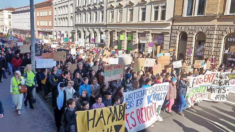 Auch in Bamberg ziehen Schüler für "Fridays for Future" durch die Straßen. Foto: p