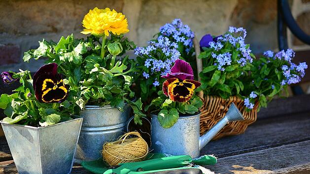 Tipps f&uuml;r Gartenanf&auml;nger: So gestaltest du deinen ersten eigenen Garten