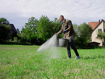 Diabas Urgesteinsmehl & Rasensand: Nat&uuml;rliche Bodenverbesserung aus Franken