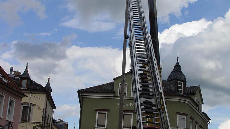 Der alte Baum wird abgeholt. Foto: Brigitta Kempe-Wolf
