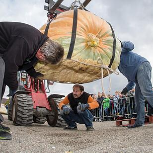 Europameisterschaft im Kürbiswiegen