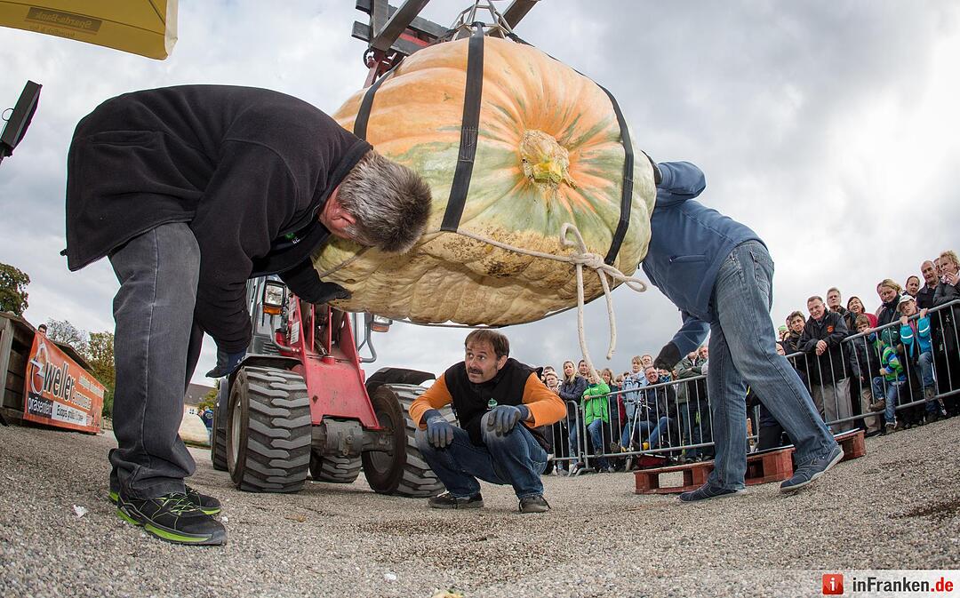 Europameisterschaft im Kürbiswiegen