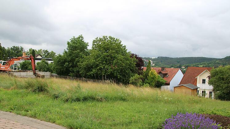 Auf der Zent in Münnerstadt gibt es besonders viele leere Bauplätze. Der Stadtrat möchte mit der Einführung der Grundsteuer C, aber auch durch die Ausnutzung anderer Möglichkeiten, dass diese Grundstücke bebaut werden. Foto: Thomas Malz