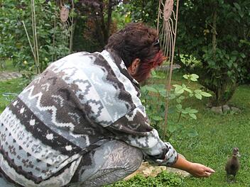 Christine Hafermann könnte weinen, wenn sie ihre kleinen Entlein anschaut: Denn die Entenmutter wurde ein Opfer der Fuchsfamilie. Hafermann päppelt die Küken jetzt per Hand auf. Foto: Sonny Adam