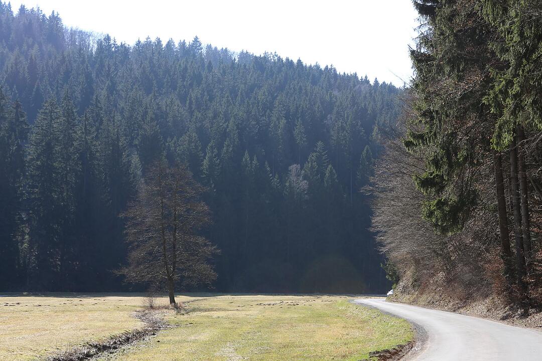 SoS Wilhemsthal Landkreis KC; Foto: Barbara Herbst