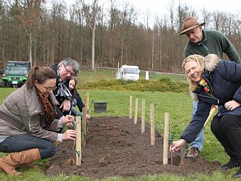 Freudentag: Kurdirektorin Andrea Schallenkammer (rechts) setzt zusammen mit Marketing-Chefin Bettina Lange (von links), Michael Jansen, Weingutsdirektor des Staatlichen Hofkellers Würzburg, Simone Reinisch und Robert Hildmann Pfropfreben in die Erde. Foto: Ulrike Müller