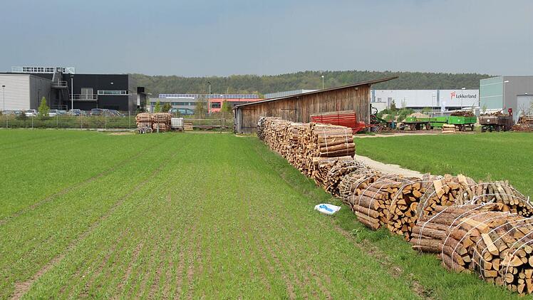 Auf diesem als Überschwemmungsgebiet ausgewiesenen Grundstück im Höchstadter Gewerbegebiet Aischpark soll ein Pferdestall gebaut werden. Foto: Andreas Dorsch
