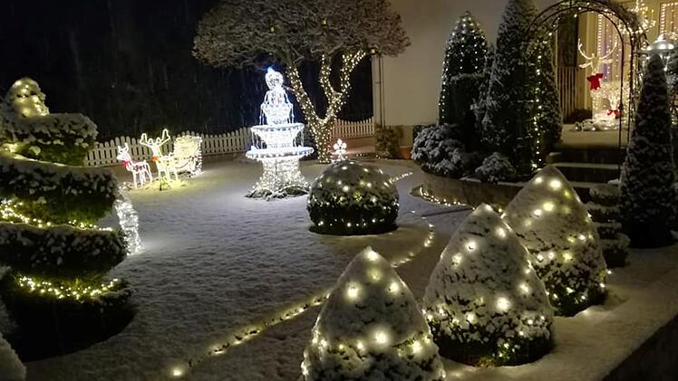 Tierheim Lichtenfels: Spende aus fränkischem Weihnachtshaus bleibt heuer aus - das sind die Gründe