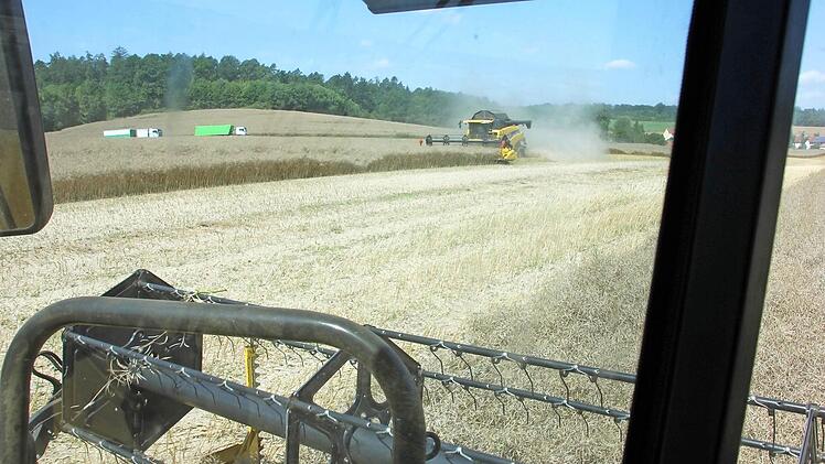 Breite Gassen fressen die beiden Mähdrescher in dieses Rapsfeld, während im Hintergrund schon die Sattelschlepper zum Abtransoort warten