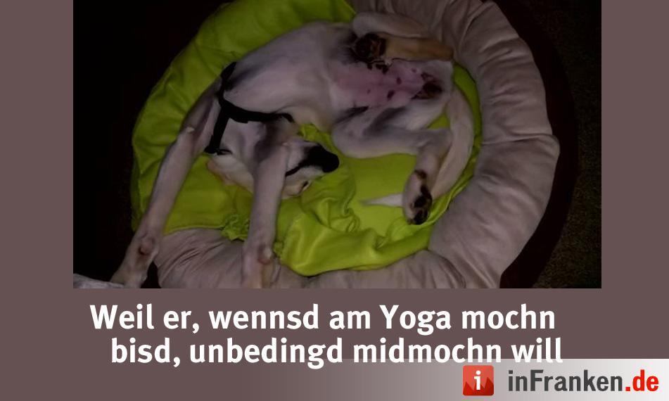 Foto: Aileen Grosch Emma