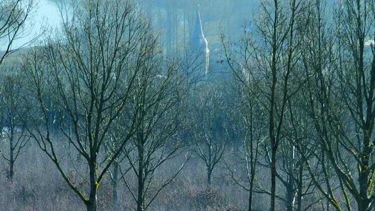 Blick von den Eierbergen auf die St.-Andreas-Kirche über eine Fläche der Waldkorporation Wiesen hinweg. Die Art der Waldbewirtschaftung ist in Wiesen seit Jahrhunderten gleich geblieben.   Die Lebensbäume bleiben jedoch stehen. Foto: Hubertus Habel