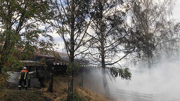 Feuer auf Bauernhof in Kulmbach: Die Feuerwehr war am Montag im Einsatz. Foto: NEWS5 / Merzbach