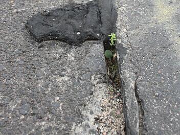 Miserabel verfugt in der Steigerwaldstraße. Foto: Mäuser