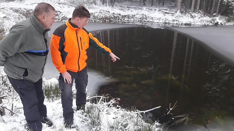 Gerhard Lutz vom Amt für Ernährung, Landwirtschaft und Forsten Kulmbach und Christian Goldammer vom Forstbetrieb Rothenkirchen (von links) überprüfen den Zustand neuer Lebensräume im Forstrevier Tettau und zeigen sich sehr zufrieden mit der Entwicklung des Projektes "Neue Feuchtbiotope". Foto: Karl-Heinz Hofmann