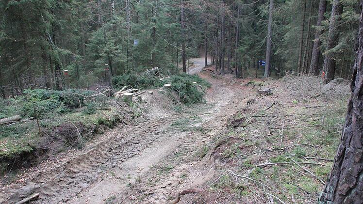 Der alte Waldweg ist nur für geländegängige Maschinen befahrbar. Wenn es geregnet hat, kommt nicht einmal ein Jeep weiter.  Foto: Friedwald Schedel