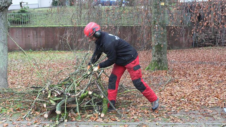Joachim Lenz sammelt das abgesägte Reisig auf. Foto: Mäuser