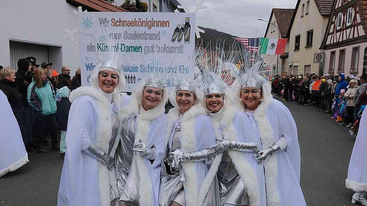 Faschingszug in WestheimFoto: Gerd Schaar