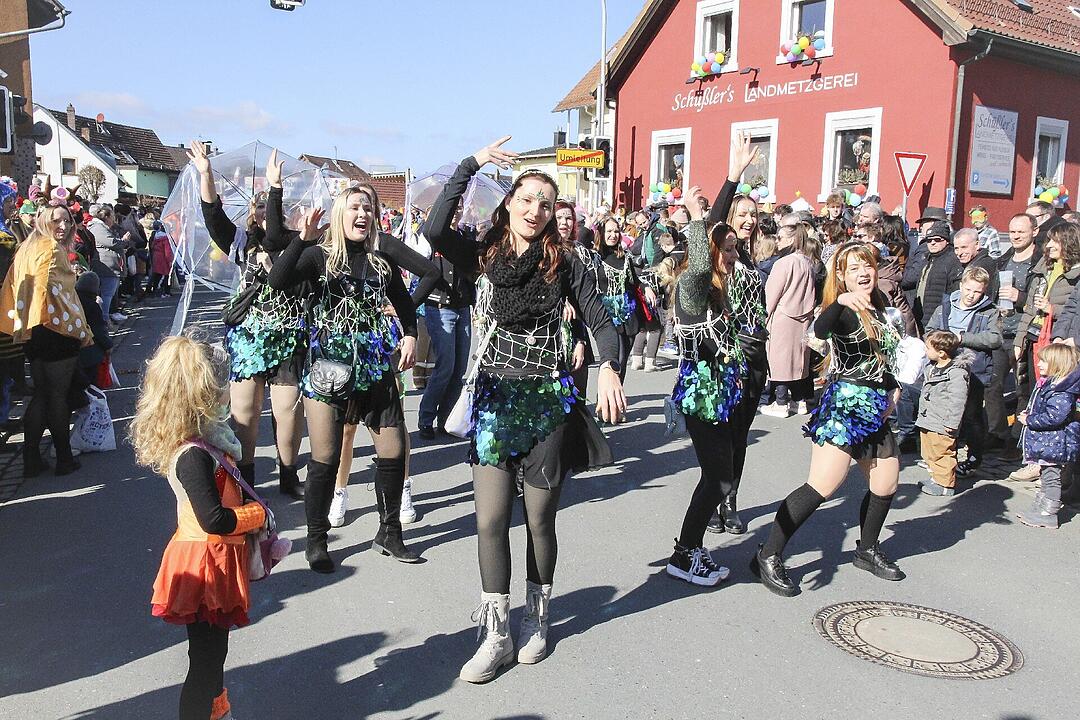 Fasching 2025 in Stadtsteinach!