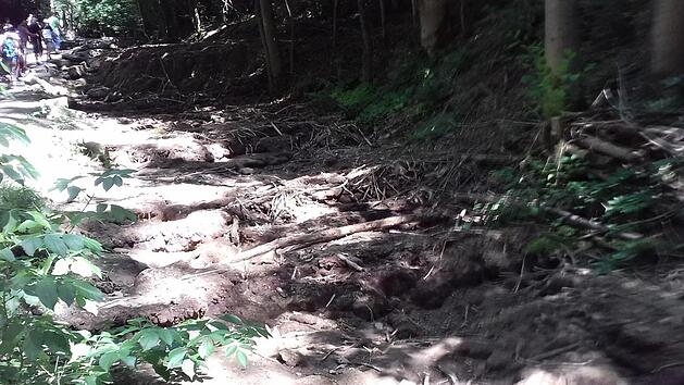 Ein trauriges Bild geben die trockengelegten Sinterstufen im Lillachtal ab. Foto: G&uuml;nther Eichler