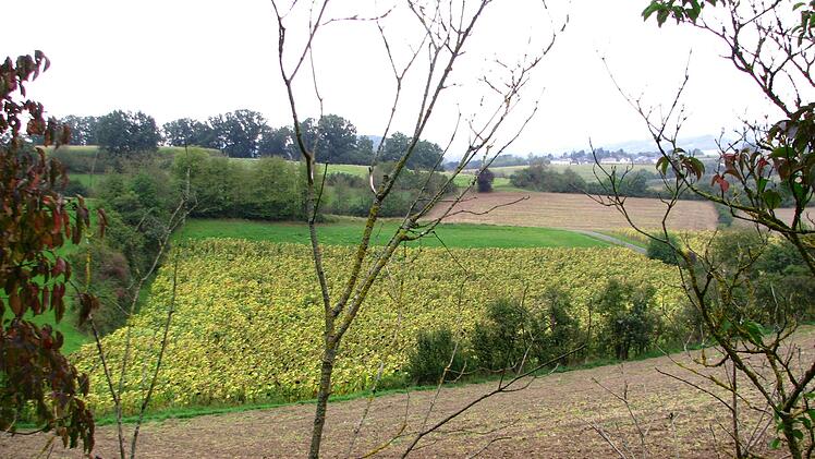 Oberhalb von Weißenbrunn am Forst soll ein neues Baugebiet mit meist kleineren Parzellen entstehen.