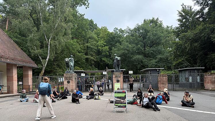 Vor Tiergarten Nürnberg: Aktivsten simulieren Paviantötung
