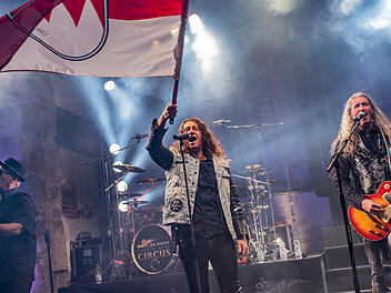 Dr. Woo&rsquo;s Rock &rsquo;n&rsquo; Roll Circus ist eine N&uuml;rnberger Coverband, die sich auf Rockmusik der 1970er bis 1990er Jahre spezialisiert hat.