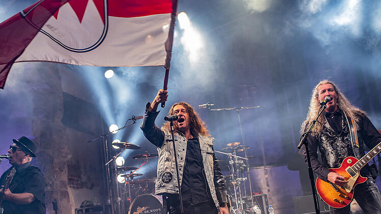 Dr. Woo&rsquo;s Rock &rsquo;n&rsquo; Roll Circus ist eine N&uuml;rnberger Coverband, die sich auf Rockmusik der 1970er bis 1990er Jahre spezialisiert hat.