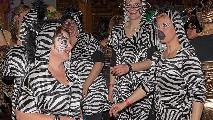 Zebraherden bevölkerten dasTanzparkett