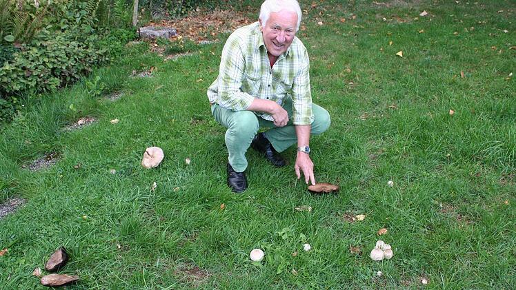 In der Wiese des Biologen Hans Krautblatter fand der Pilz offensichtlich ideale Bedingungen vor. Foto: Evi Seeger