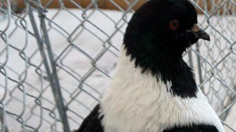 Foto: Richard Sänger