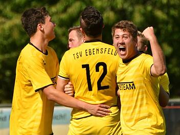 Nach dem erfolgreichen Fernschuss von Daniel R&ouml;der (Zweiter von links) bricht bei den Ebensfeldern Jubel aus. Heinrich Hagel (rechts) ballt siegessicher die Faust.  Foto: Gunther Czepera
