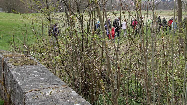 Regelmäßig bietet er Biber-Wanderungen an. Vom Staatsbad aus geht's in...