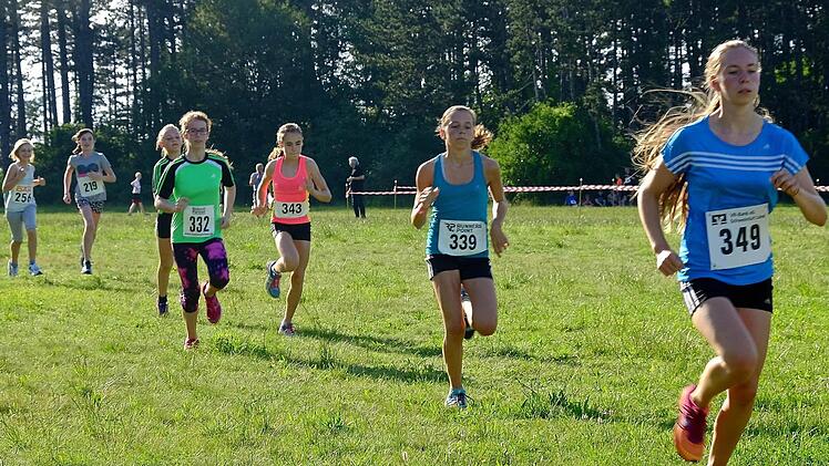 Waldlauf 2016. Foto: Gerd Schaar