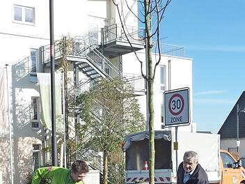 Bürgermeister Ludwig Nagel und Matthias Großkopf pflanzen den Baum für die Neugeborenen. Foto: Thomas Schöbel