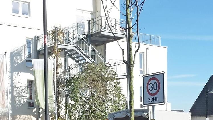 Bürgermeister Ludwig Nagel und Matthias Großkopf pflanzen den Baum für die Neugeborenen. Foto: Thomas Schöbel