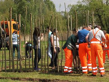 Beim Start der Steck-Aktion für das Weiden-Labyrinth wurden die Arbeiter des Bauhofes von der 8. Klasse der Herzog-Otto-Mittelschule tatkräftig unterstützt. Fotos: Gerda Völk