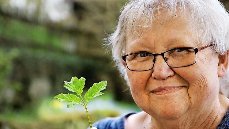 Helga Dorn aus Schönderling zeigt hier Giersch, den man in Schönderling schlicht "Strianzl" nennt. Foto: Hüfner