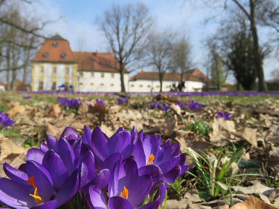 Die schönsten Frühlingsfotos aus den Haßbergen