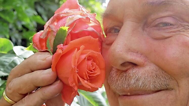Die Rose "Morgentau" macht Lust auf den kommenden Tag — Franz Wänninger genießt ihren Duft. Der Rosenexperte hat seinen Züchtungen poetische Namen gegeben. Foto: Diana Fuchs