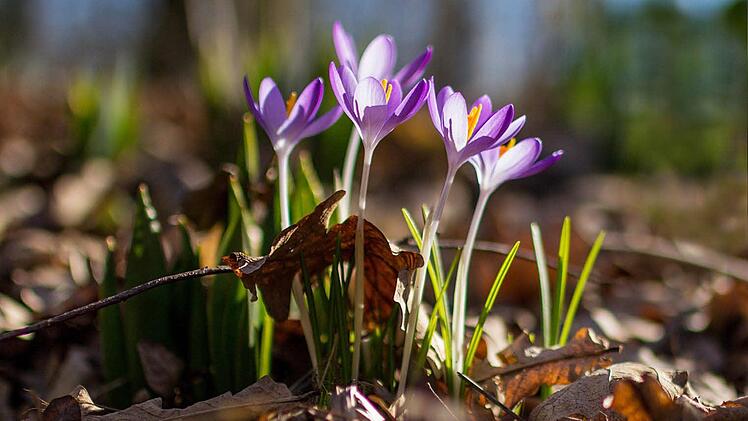 Foto: Bernd Schieber