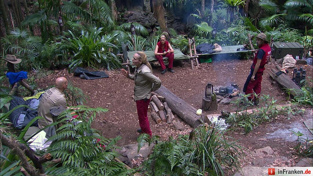 Ich bin ein Star _ Holt mich hier raus!