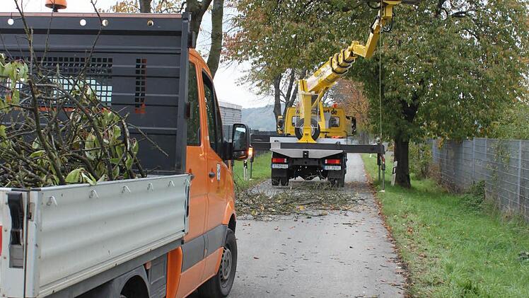 Mit einem Gemeindefahrzeug werden abgeschnittene Äste weggebracht. Foto: Popp