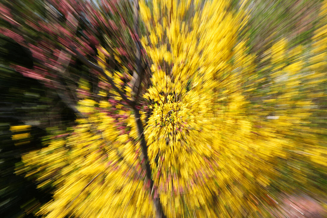 Fotos Konrad Thomann