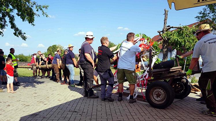 Unter den Blicken von Walter Nussel wird der Baum vorbereitet.Richard Sänger