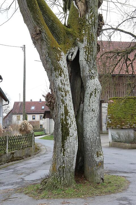 SoS Oberfellendorf im Lkr. Forchheim; Foto: Barbara Herbst