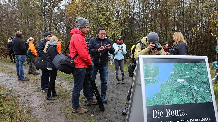 Medienauflauf bei der Baumfällung im Callenberger Forst. Foto: Barbara Herbst
