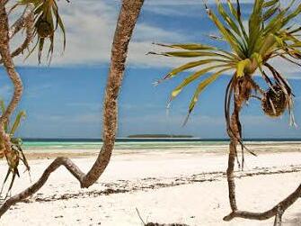 Strand auf Sansibar  Foto: Steffen Ramer