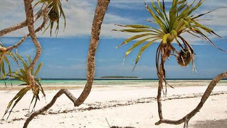 Strand auf Sansibar  Foto: Steffen Ramer