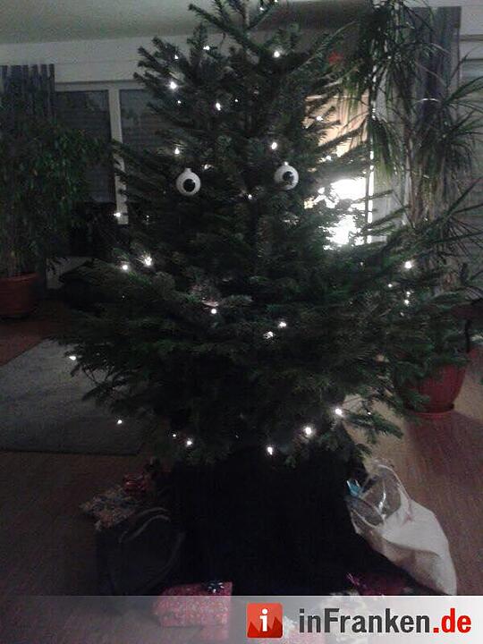 Weihnachten in Franken: Die Christbäume unserer Leser